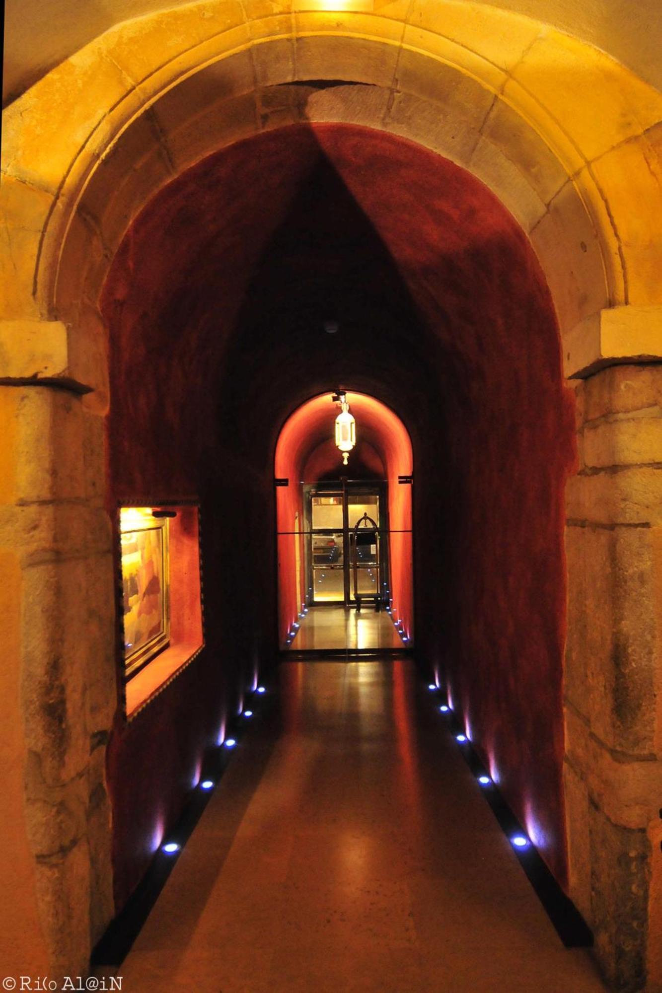 里昂Cour Des Loges酒店，Radisson系列5*